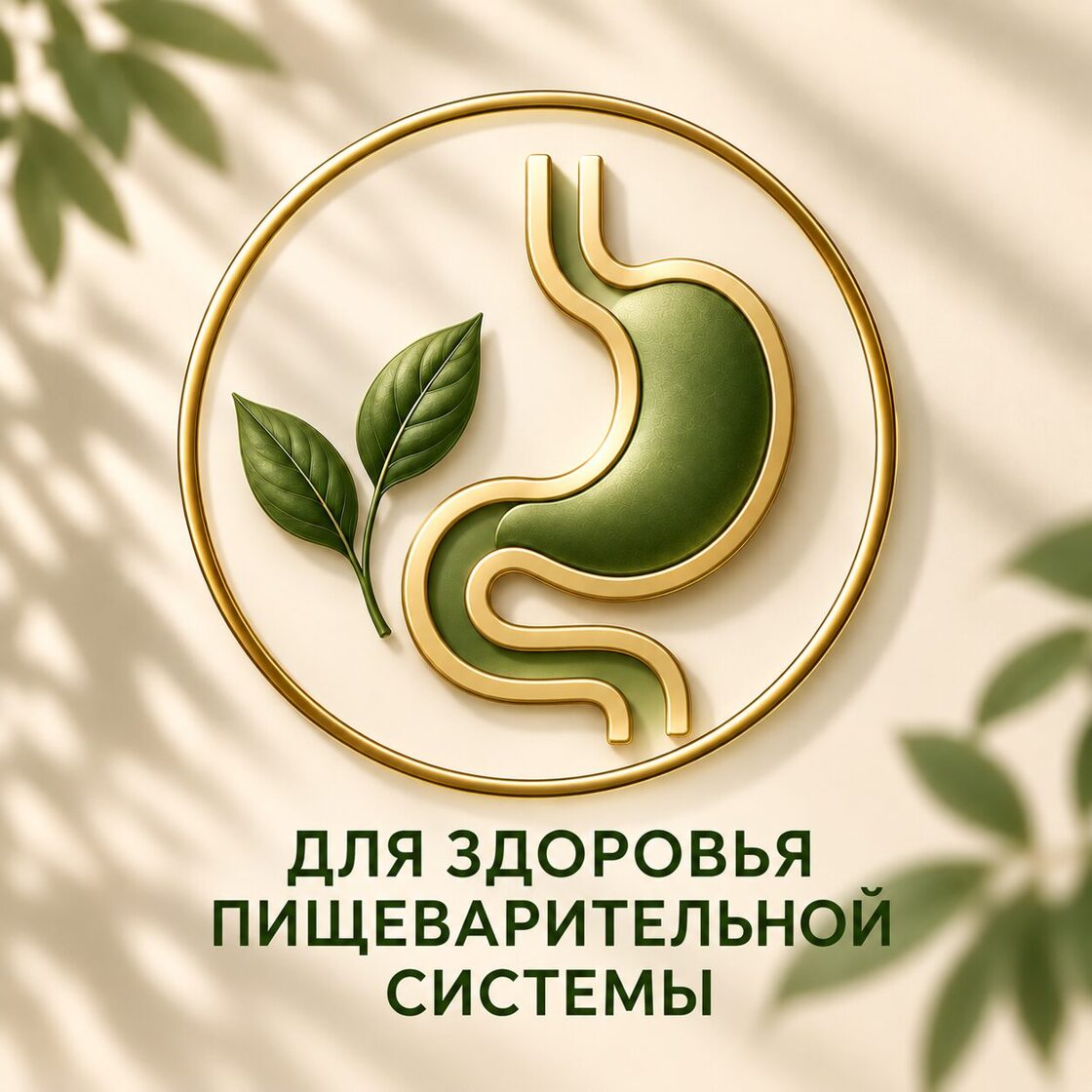 ChatGPT_Image_4_sent__2026_g___13_09_46.jpg